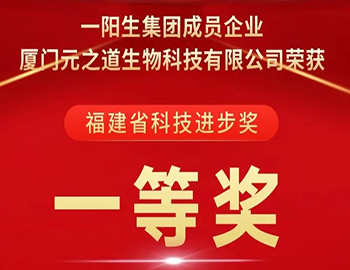 喜讯 | 3777金沙娱场城集团荣获“科技进步一等奖”